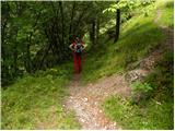 Dom na Govejku - Gontarska planina